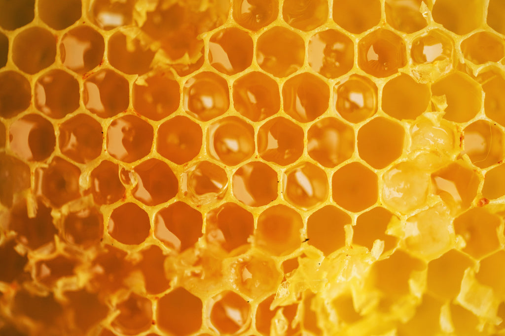 Honey